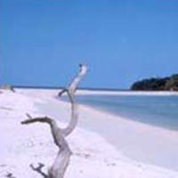 Andaman Tour Package 21