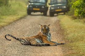 3 Night 4 Days Jim Corbett National Park