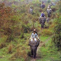 Wildlife Tour of Assam Tour