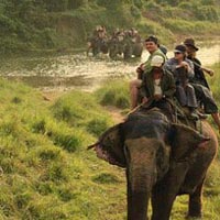 Wildlife of North East India and Nepal Tour