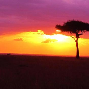 3 Days Serengeti and Ngorongoro crater budget camping safari