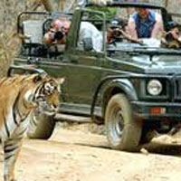 Glimpse of Rajasthan Tour