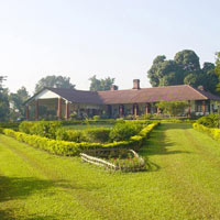 Tea Tour of Assam