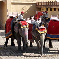 Golden Triangle Tour Package 