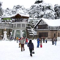 Ambala - Shimla - Manali - Chandigarh Tour