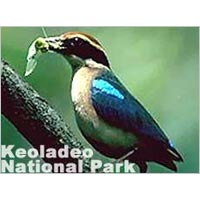 14 Days Keoladeo National Park Tour