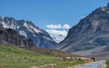 Royal Himachal Package