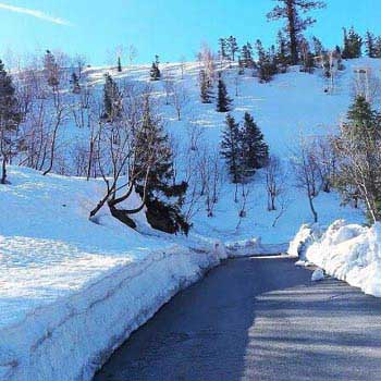 Shimla Kullu Manali Package