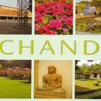 Chandigarh Cultural Tour for 3 Days