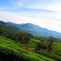 Paradise of Kerala - Honeymoon Tour