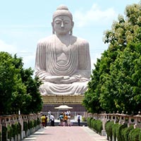 Lord Buddha Parikrama Tours