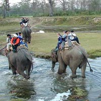 Central India Wildlife Tour