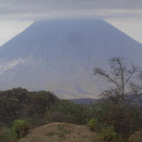 Safaris - Ngorongoro Crater Tour