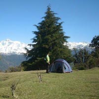 Chopta Tungnath Chandrashila Peak Trek Tour