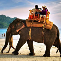 Happy Holidays in Andaman Islands Package