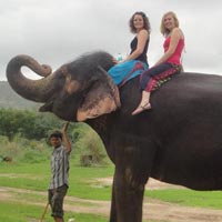 Elephant safari in Sanctuary Tour