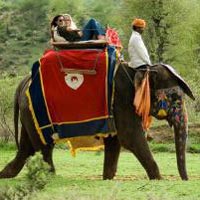 Elephant safari in Jungle Tour