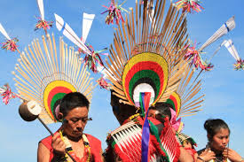 Hornbill Festival Nagaland Home Itineraries Tour