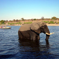 Two Days And One Night Tour - Victoria Falls Only