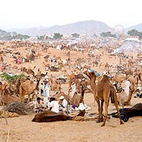 Golden Triangle Tour With Pushkar