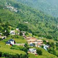 Himachal With Timber Trails Heights tour