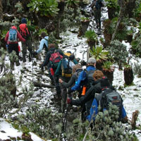 Kibale - Rwenzori Mountains Tour