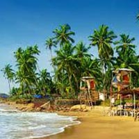 North and South Goa Tour