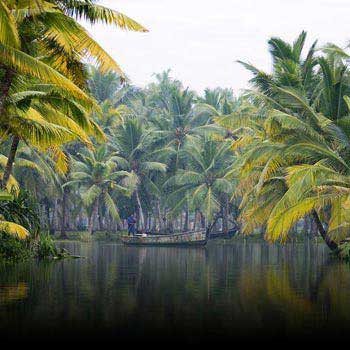 Kerala Backwaters and Beaches Package