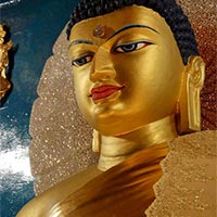 Buddha Parikrama  Tour