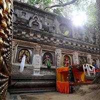 Buddha Steps With Tajmahal Tour
