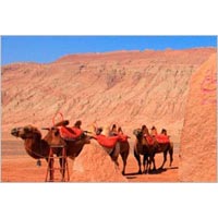 Silk Road Discovery - 13 Days / 12 Nights