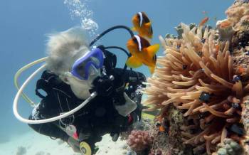 Grand Island Scuba Diving & Watersports