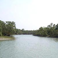 Sundarban Tour Package