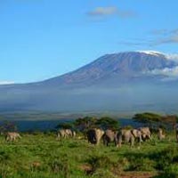 Serengeti and Ngorongoro Tour