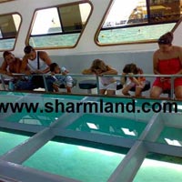 Glass Bottom Boat In Sharm El Sheikh Tour