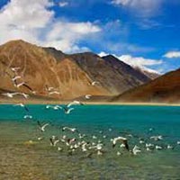 6 Days TUTC Glamping in Ladakh Tour