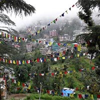 Amritsar - Dalhousie - Dharamsala - Manali - Shimla - Ambala Tour