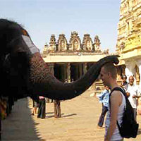 Chennai-Tirupati-Sri Kalahasti Tour