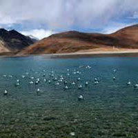 Ladakh With North India Culture Tour