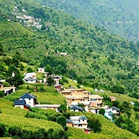 Pathankot to Himachal Pradesh Tour