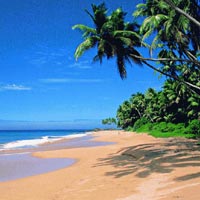 Delightful Goa Vacation Tour