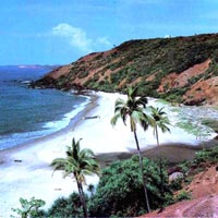 Goa & Kerala Beach Tour