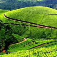Appealing Kerala Package with Houseboat - 06Nights/07Days