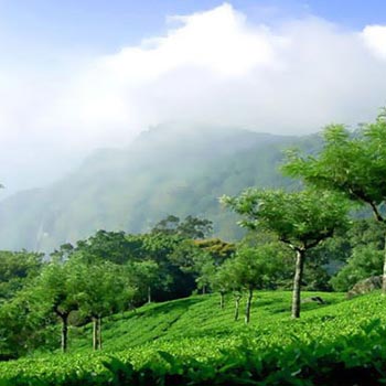 Himachal Tour Packages 2017