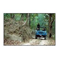 Jungle Tour / Safari Himalayan Dooars -1