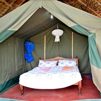 Pambazuko Africa Safaris Tour