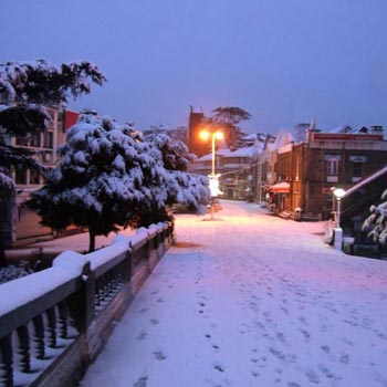 Shimla Manali Tour Packages By Car 14Seater Tempo5 Night 6 Days
