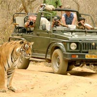 Heritage Tour With Agra and Tiger Tour