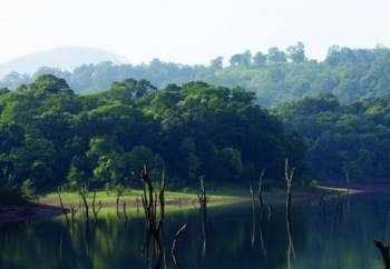 Thekkady - Alleppey Tour Package