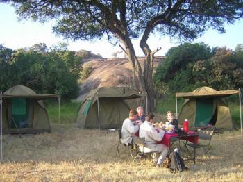 5 Days Tarangire Manyara Serengeti Ngorongoro Crater Safari Tour Package
